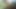 Indian Big Black Cock Assamsexkin with nice big bareback anal gay Ghush very happy fucking in a forest a long time