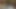 الملاك الآسيوي 25392