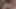 セクシーなブルネットのスラットのための二つの大きな勃起したペニス