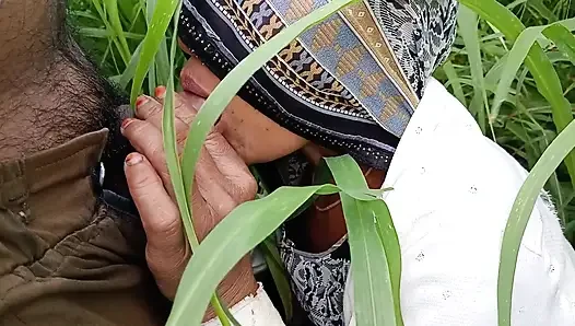 In the millet field, my elder sister-in-law sucked the cock and ass Mari opened the field of millet and killed my sister-in-law's ass