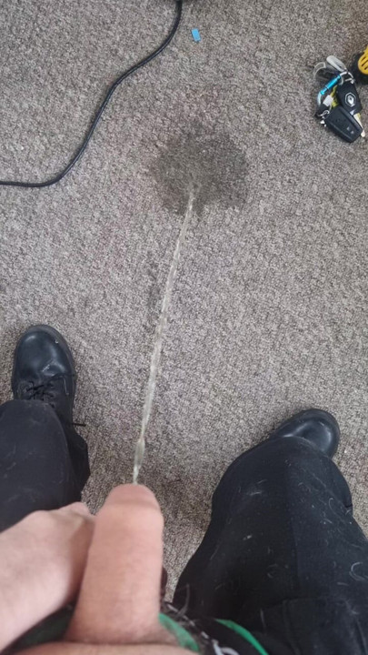 Pissing on carpet (for fun).