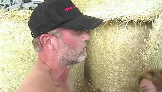 German - Mess in the pigsty 4 full DVD