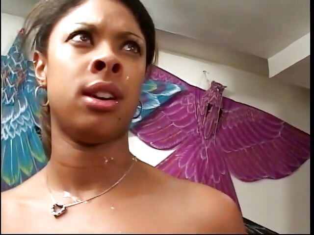 Luxuosa negra chupa pau de oito maneiras a partir de domingo em casa