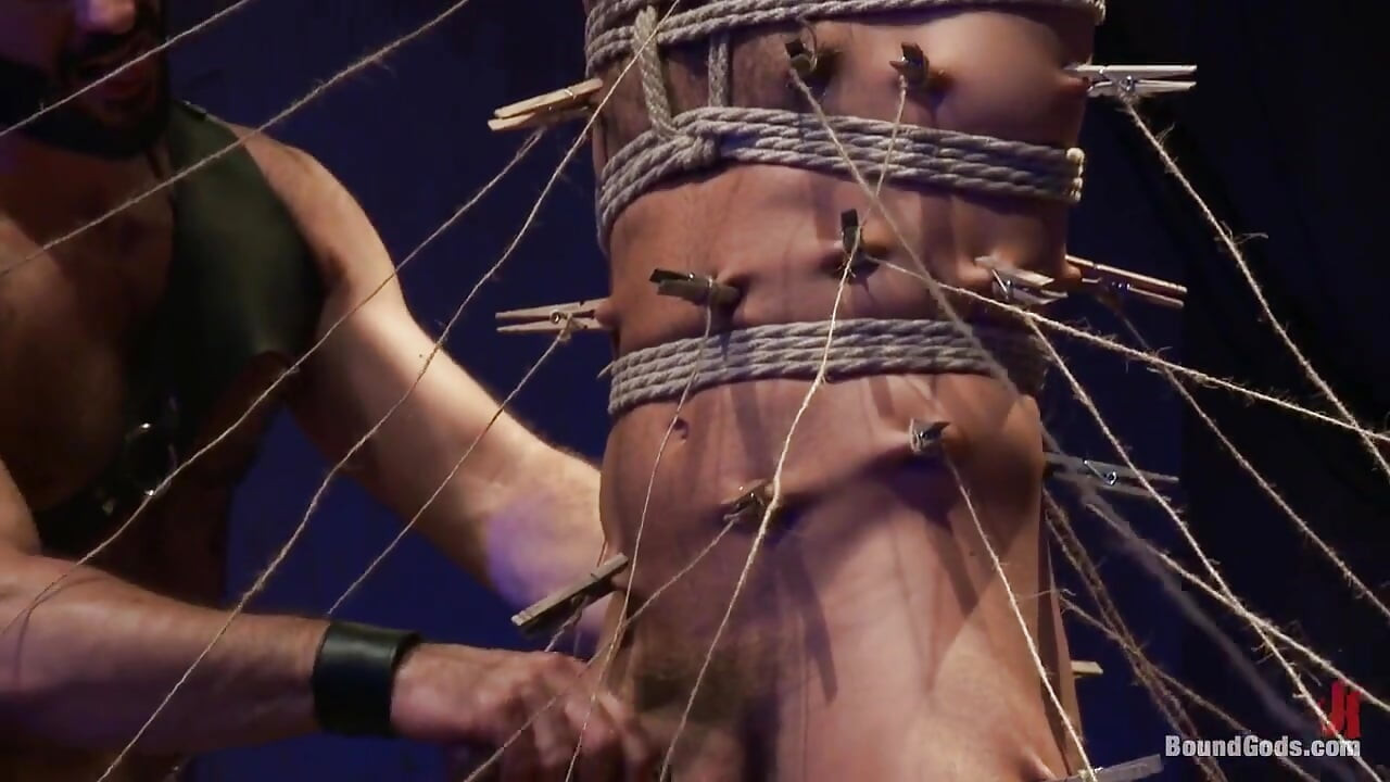 ウィルフリート・ナイト - レオ・フォルテの夢が叶う