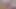 Yakın çekim orta yaşlı seksi kadın anna etli amcık dudakları 3'ünü 1 g'de deniyor tavşan vibratör oyuncağı sohimi - inleyerek orgazm