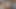 Yaramaz lolla tavşanı gırtlağına kadar alıyor ve anal seks yapıyor