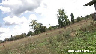 Inflagranti