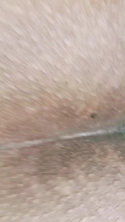 I fucked my sister-in-law who was wearing a black bra doggy style and released all my cum inside her pussy. | Clip 1