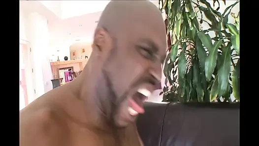 Lust for Pussy Rough Fucking