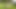 Fetish. Hot Teen Girl Peeing Standing in Park