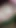 Fatima bhabhi ne muh me liya | Clip 3