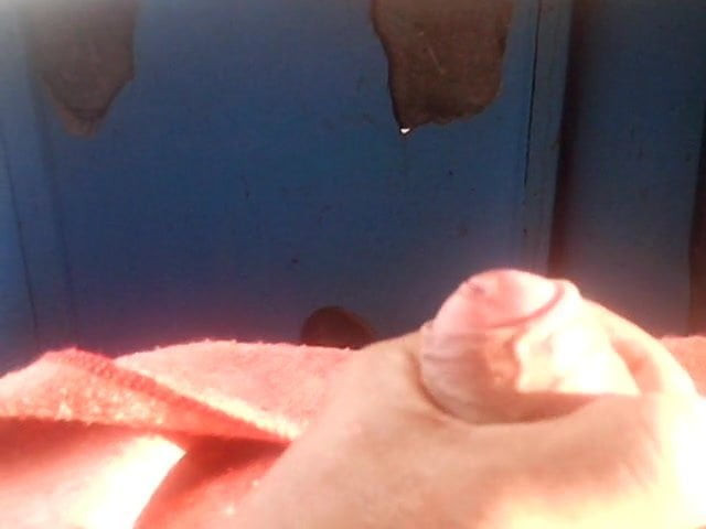 Enrigue5000