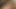 sexy asian girl and a big black cock into interracial porn