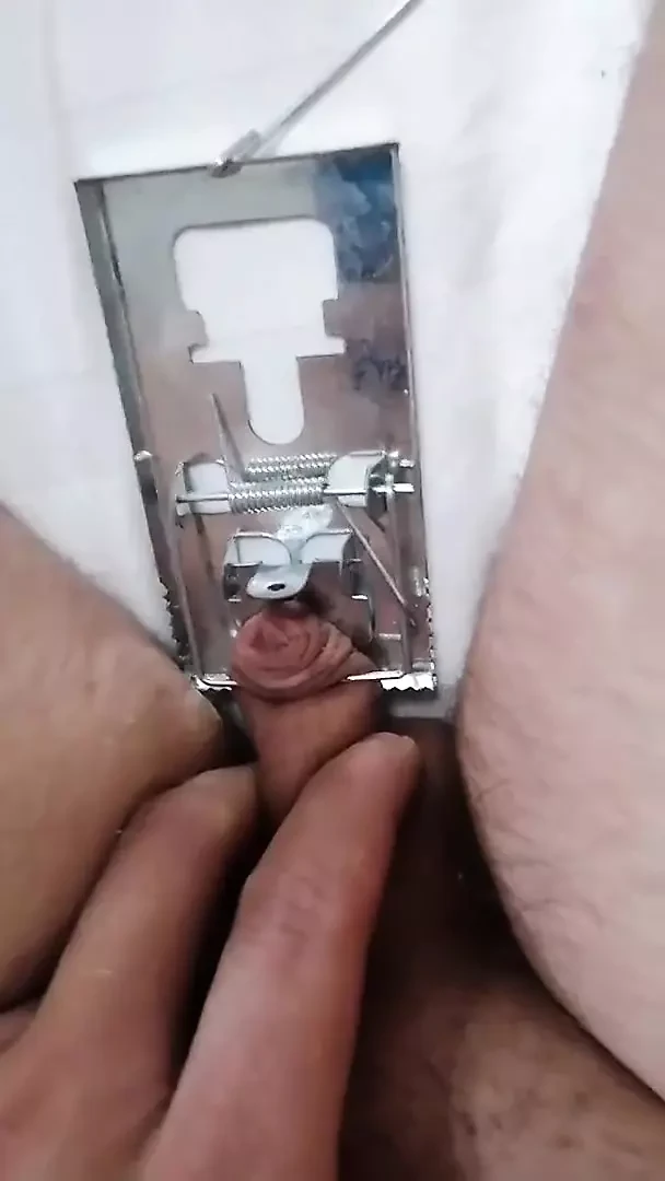 Plåga micropenis musfälla BDSM cbt sph