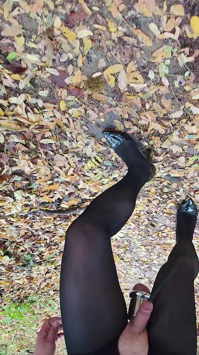 Επίδειξη με καλσόν
