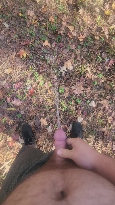 Fun at the Park