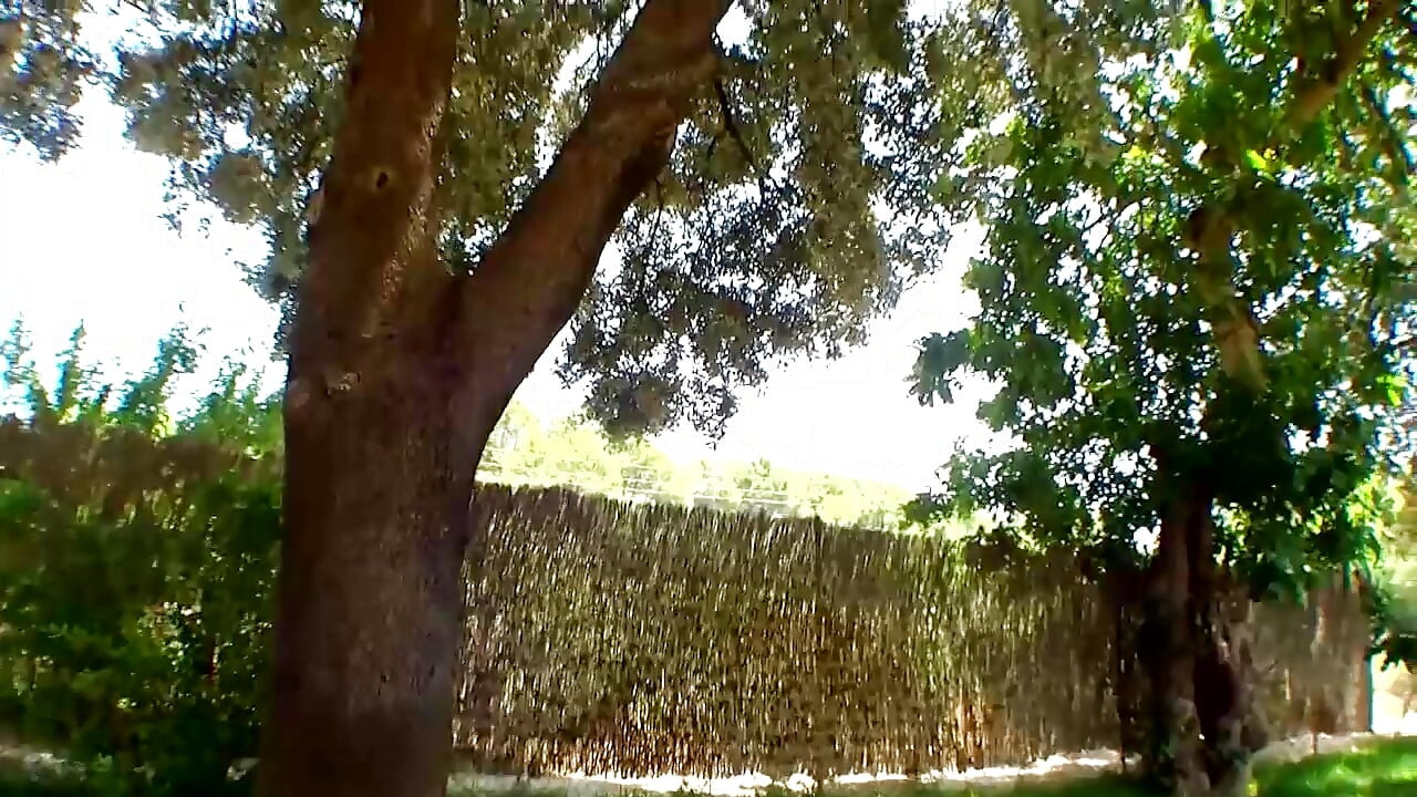 پادشاهی سینه دار آلمان - (فیلم کامل)