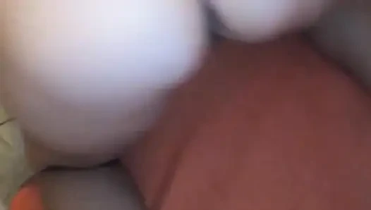 such a pleasant evening distraction in 2016 (POV)