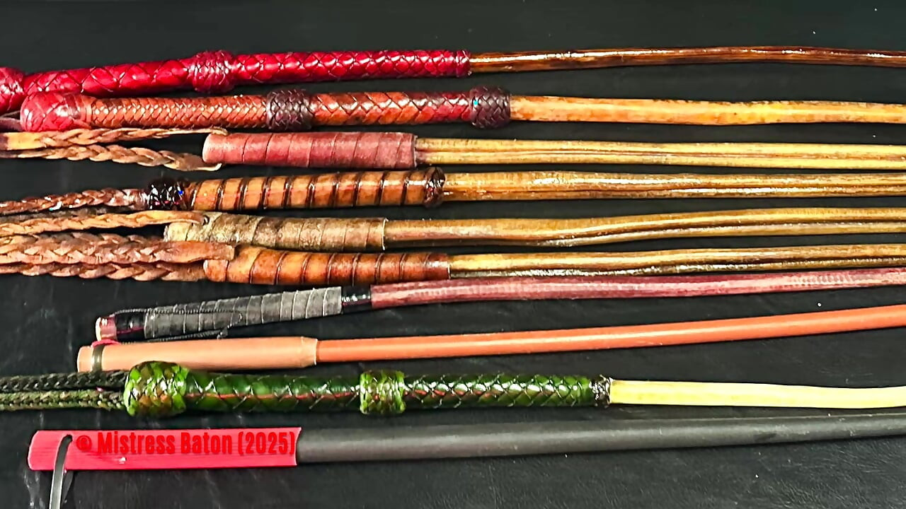 私のすべてのシャンボクとオクセンツィーマー