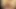 Young Transgender girl has fun with her big dildo and gets a firt