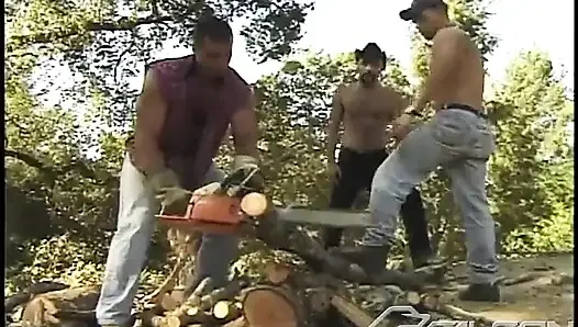 Oduncu: doğaya karşı suçlar