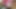 Hintli desi ateşli yenge seksi sakso çekiyor ve amından sikiliyor