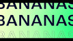 Pratinjau video