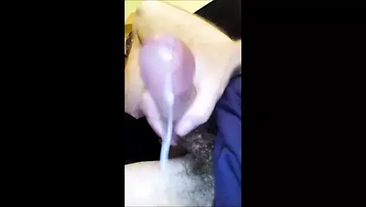 Güzel döl