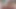 AsianSexVR