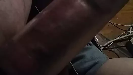 Lola eşek jack ile tanışır