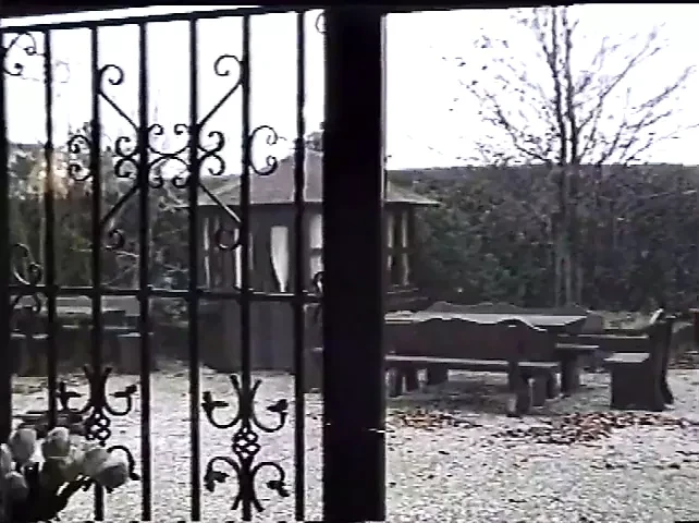 Vintage orgy