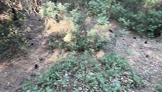 EIN MANN, DER SICH ZU HAUSE VON SEINER FRAU GELANGWEILT HATTE, SUCHTE SICH EINEN PLATZ IM WALD