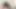 Horny American exchange student girlfriend experience