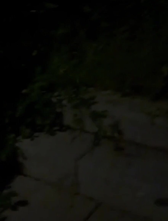 Late at Night Underpass Anal with Marina