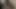 Petershentai Intense Sexual Threesome Sissy Slut Doggy Style Fucked by Two Big Cocks Pregnant Slut Intense Sex