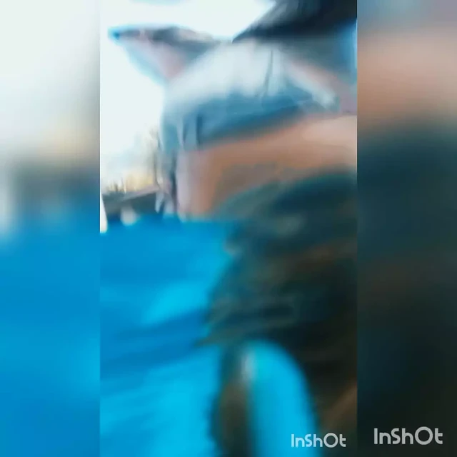 unicorn mermaid