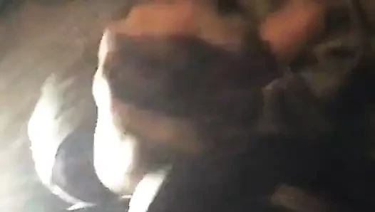Corrida en el Carro 3