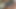 Horny Shemale 79