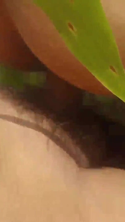 Jangal me bhabhi ne sex kiya Part 2 | Clip 1