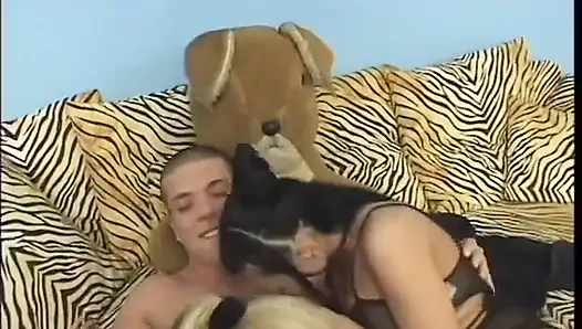 Şanslı adam kanepede iki azgın sürtüğü sikiyor