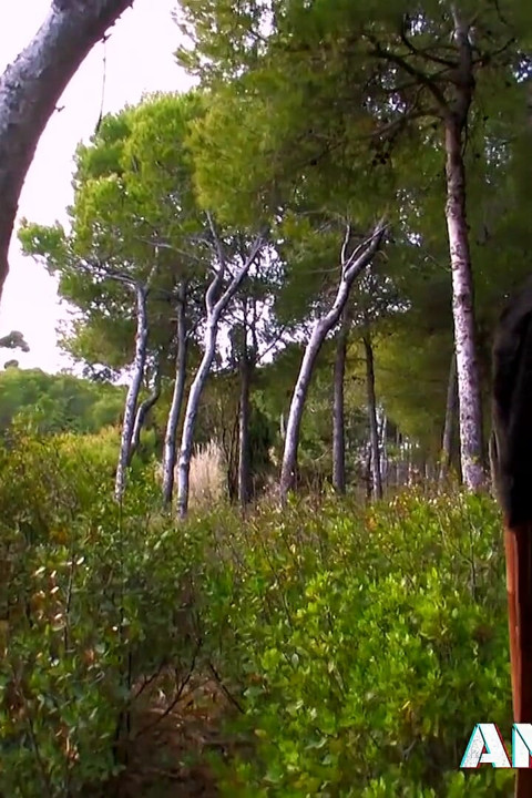 Anally fucking Cassie Darling in the dirt before a facial