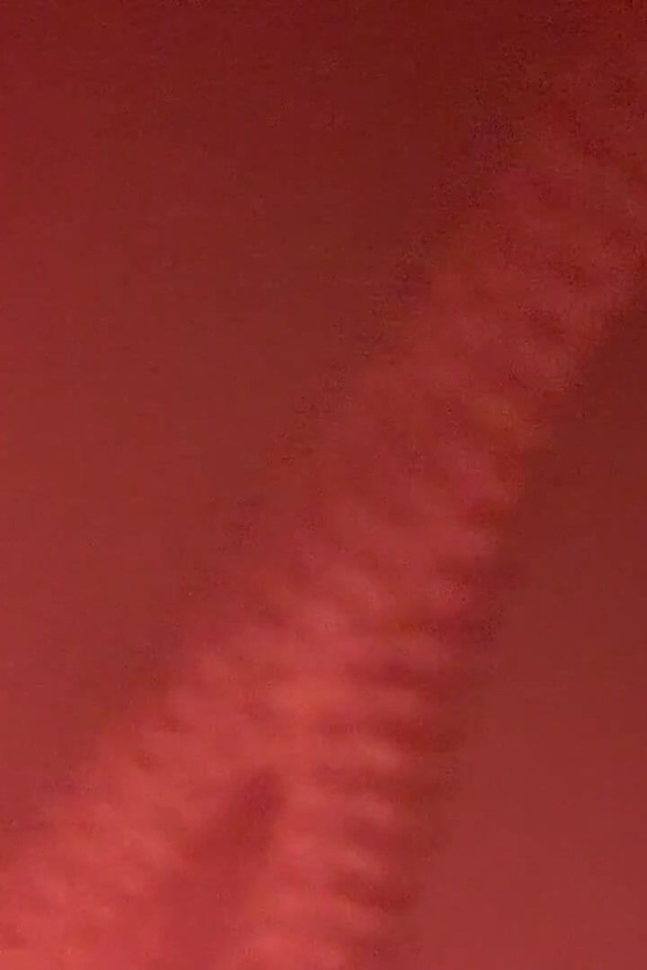 Signe ton âme, sur mon cul !