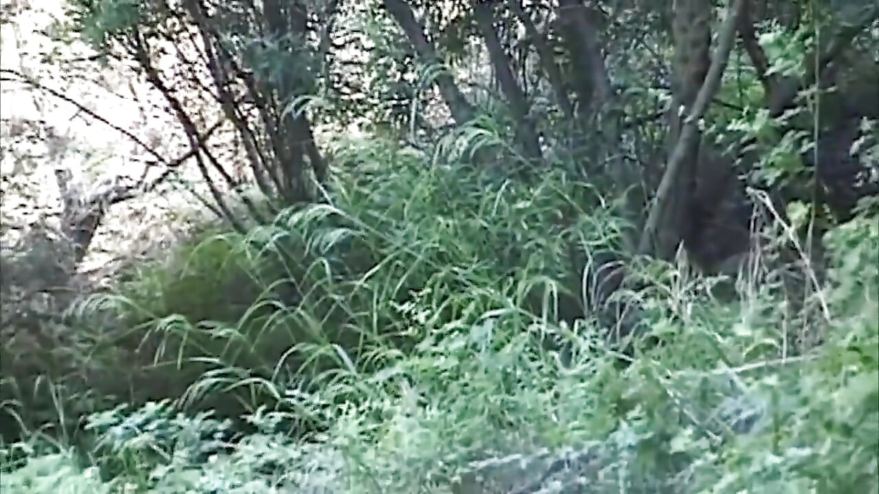 饥渴的黑人女同性恋者在户外分享玩具和舌头