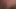 ジェニーベアバックホイップクラシック09173