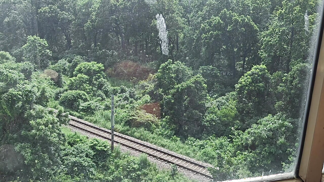 Mausi saas ki gand chudai