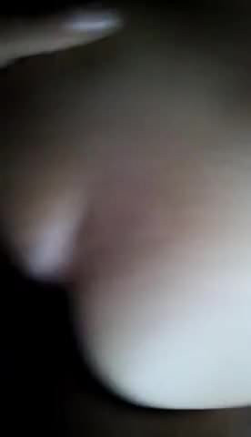 สไตล์ คน ชอบ สุนัข