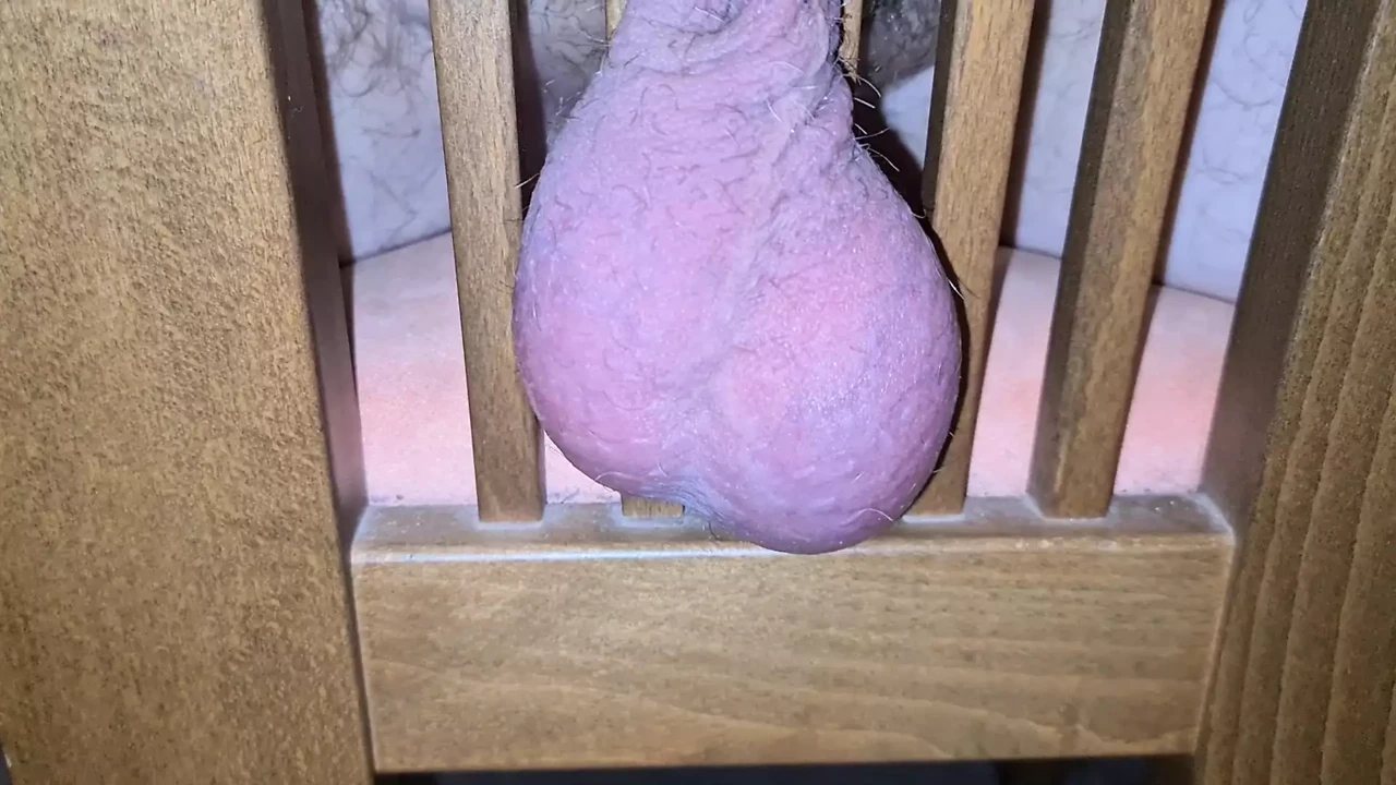 Scrotum and egg games Eggs are pressed well
