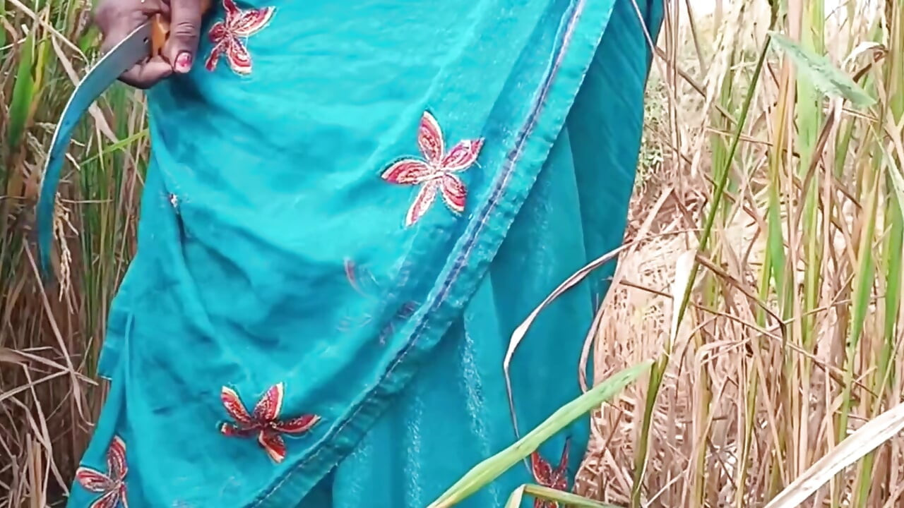 我的继妹操逼和射在阴户内印度美丽的继妹德西印度