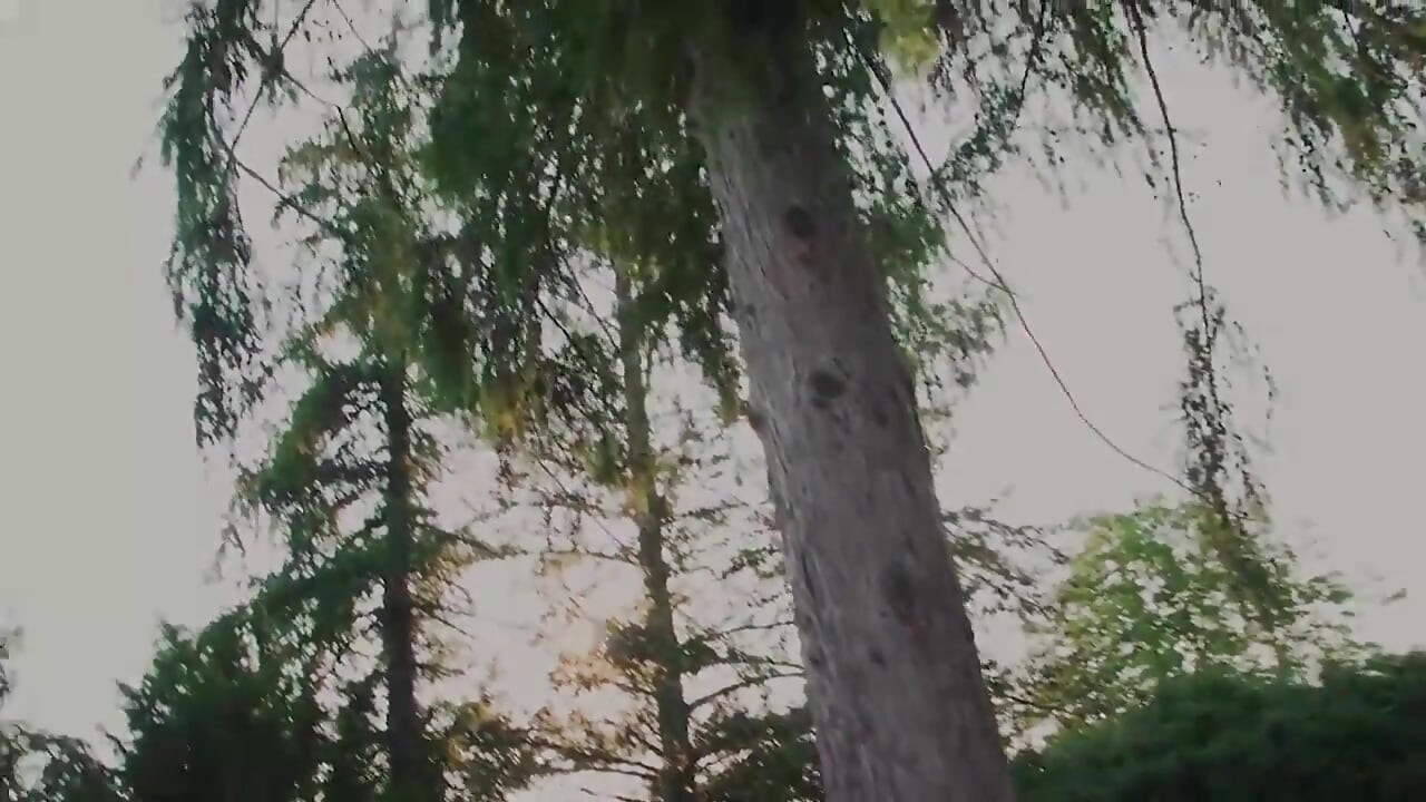 Älskare av nöje