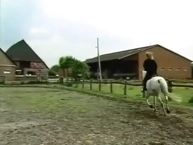 Family Inc. 1 - 完整的德国电影